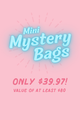 Latched Mama Mini Mystery Bag